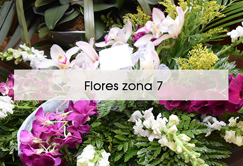 delivery flores funeral zona 7