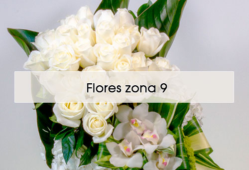delivery flores funeral zona 9