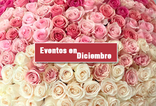 flores en guatemala para eventos en octubre