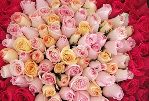 ramos de rosas a domicilio guatemala
