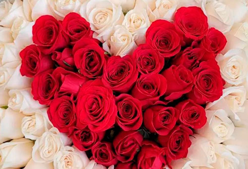 Ramos de rosas
