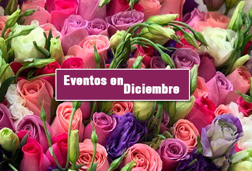 flores en guatemala para eventos en diciembre