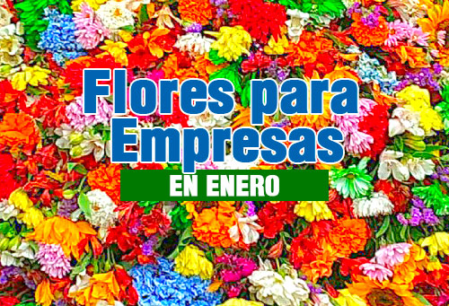 flores para empresas en guatemala mes de enero