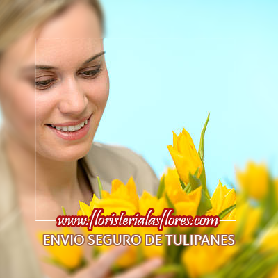 envio de ramos de tulipanes en guatemala