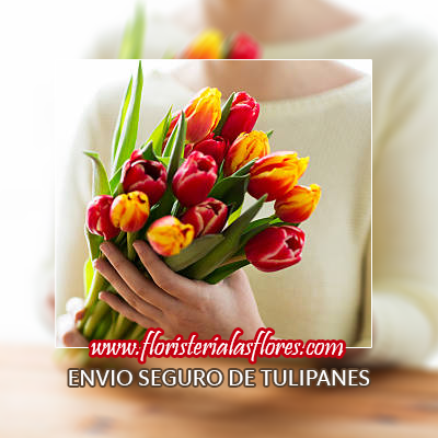ramos de tulipanes en guatemala