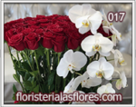 Rosas y Orquideas especial