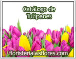 Arreglos de Tulipanes