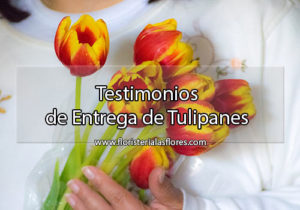 Testimonio de tulipanes a domicilio en Guatemala