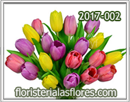 Tulipanes de varios colores