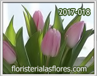 envio de ramos con tulipanes de color rosado