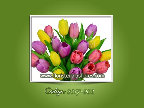 Tulipanes de colores