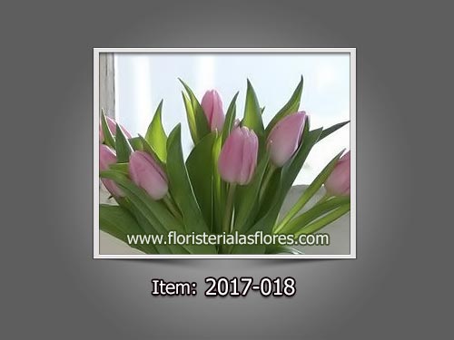 Tulipanes en colores lila