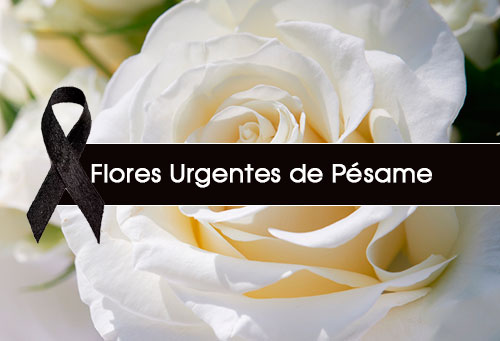 delivery flores urgentes para funeral